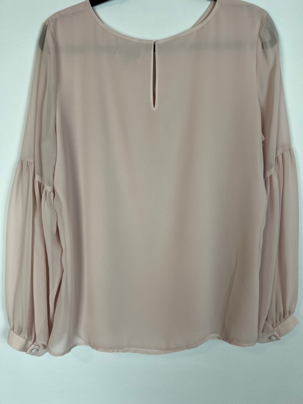 Express Blush Sheer Balloon Sleeve Top - Picture 7 of 13